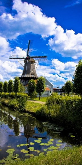 Photo:  Windmill